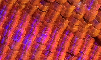 Nanopatterning for medical applications