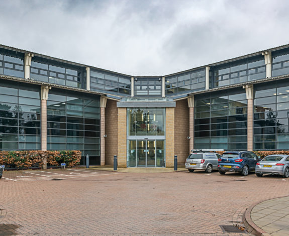 International clientèle fuels Springboard growth