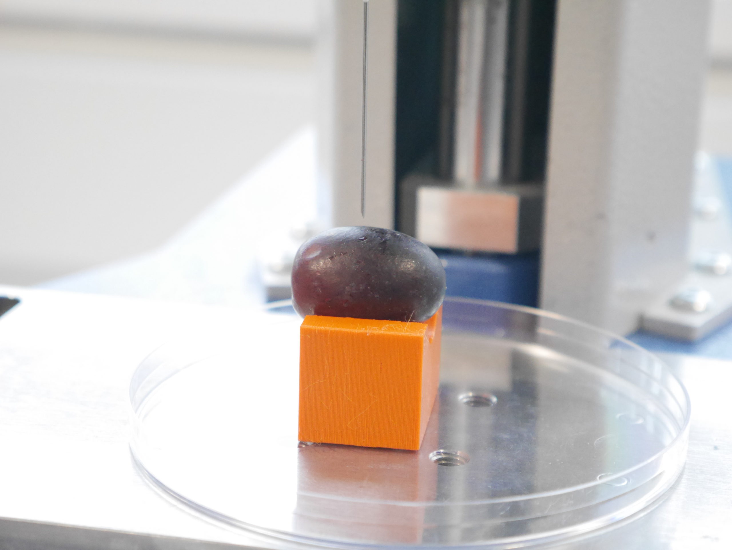 How much force do you need to pierce a grape…and other questions