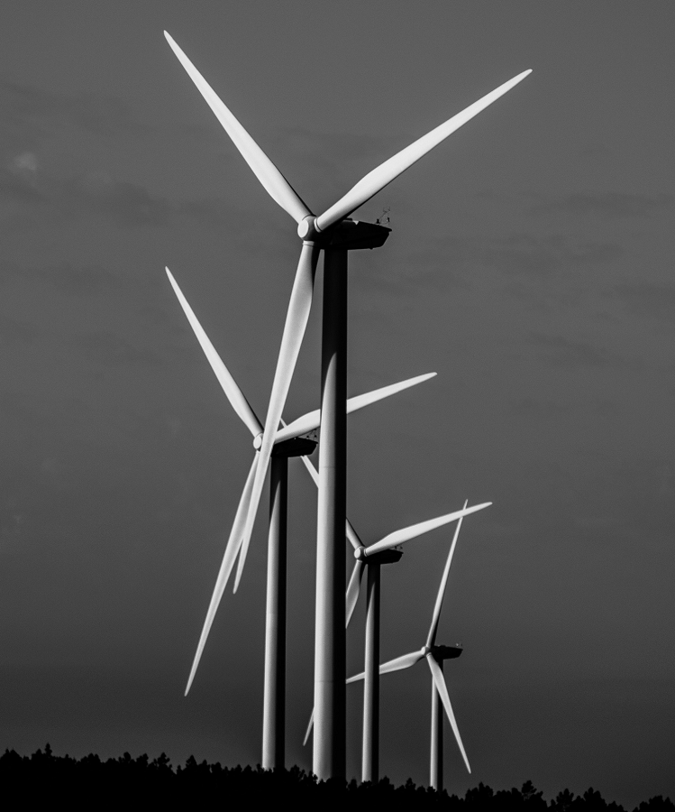 More needs to be done to help the NHS with their sustainability targets