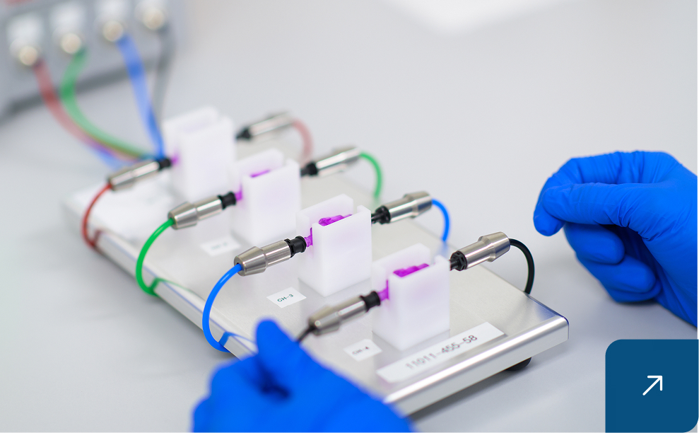 Rectangle-2845-1.png-1